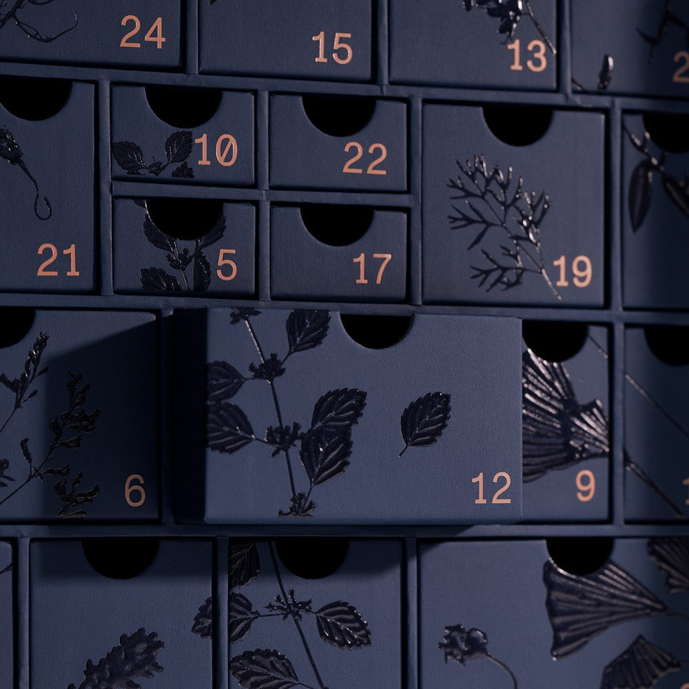 Adventskalender Advent Calendar 2025